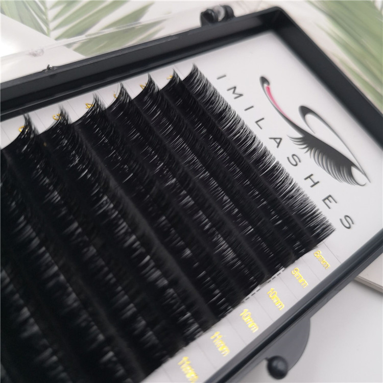 Wholesale blooming fast fanning lash extensions in Europe-V